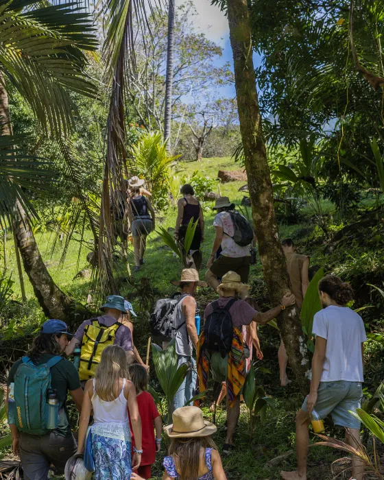 Adults and children in sun hats, carrying backpacks, walking up a shaded forest path between palm trees on a land tour at Amora, near Dominical, Costa Rica