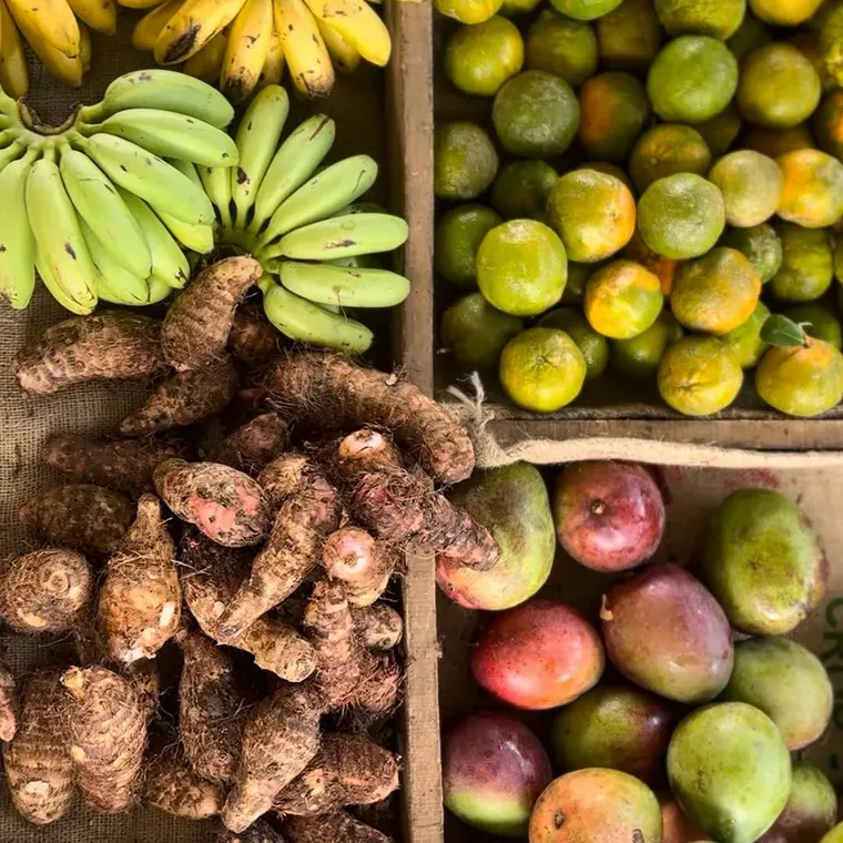 A harvest crate of bananas, turmeric, and fruit