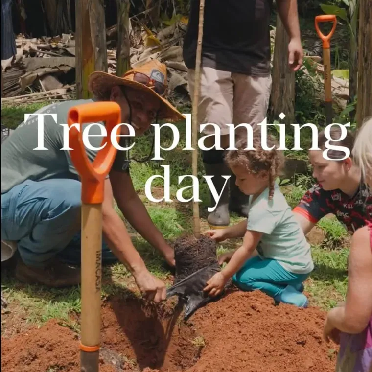 Tree planting day on the land at Amora, the ecovillage above Dominicalito