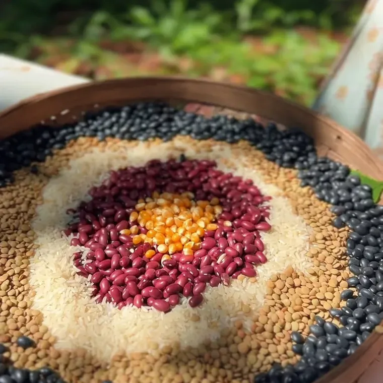 A mandala of seeds and beans