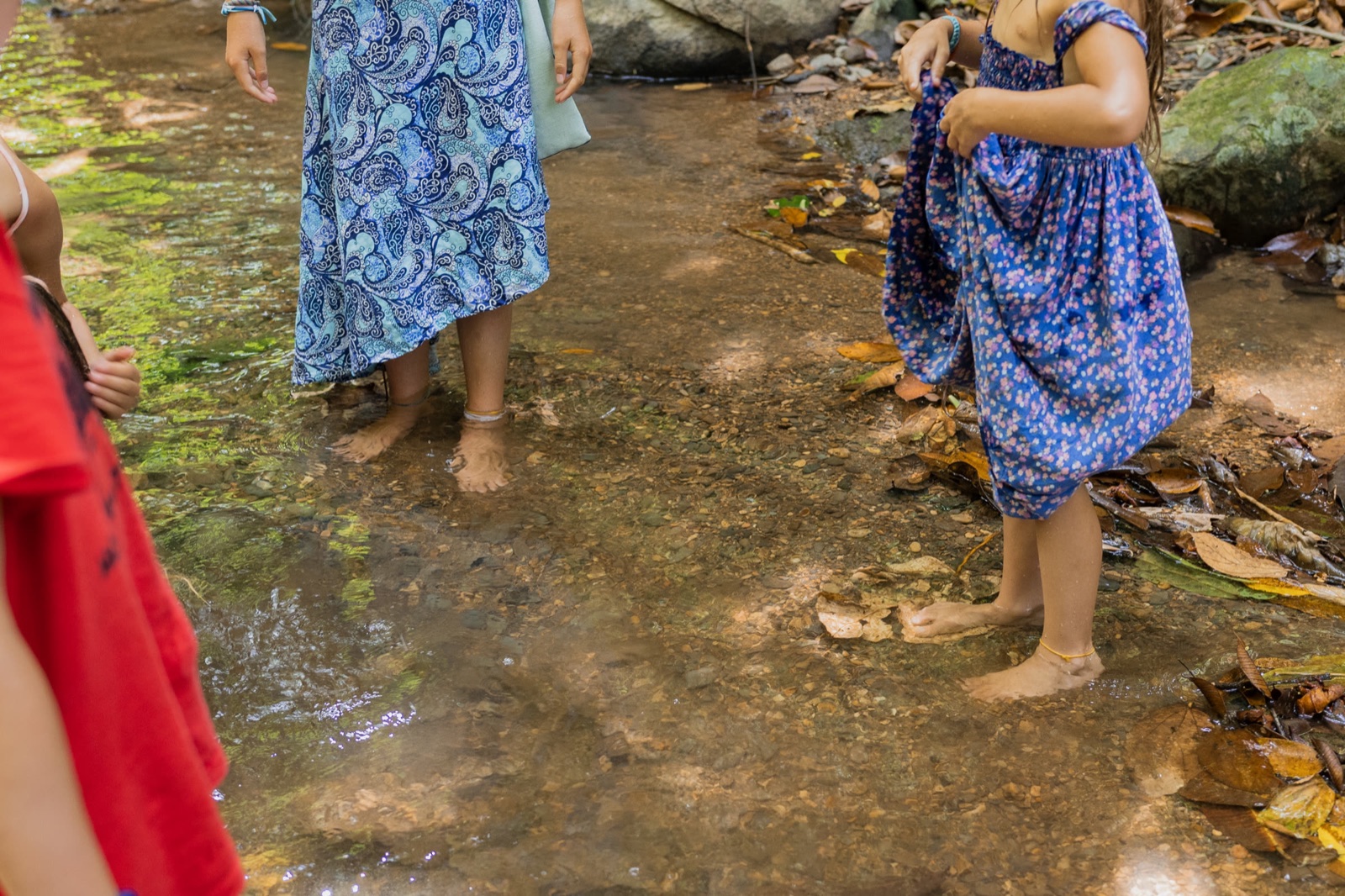 Children wading barefoot in a clear, shallow forest creek, one girl holding up her blue dress.