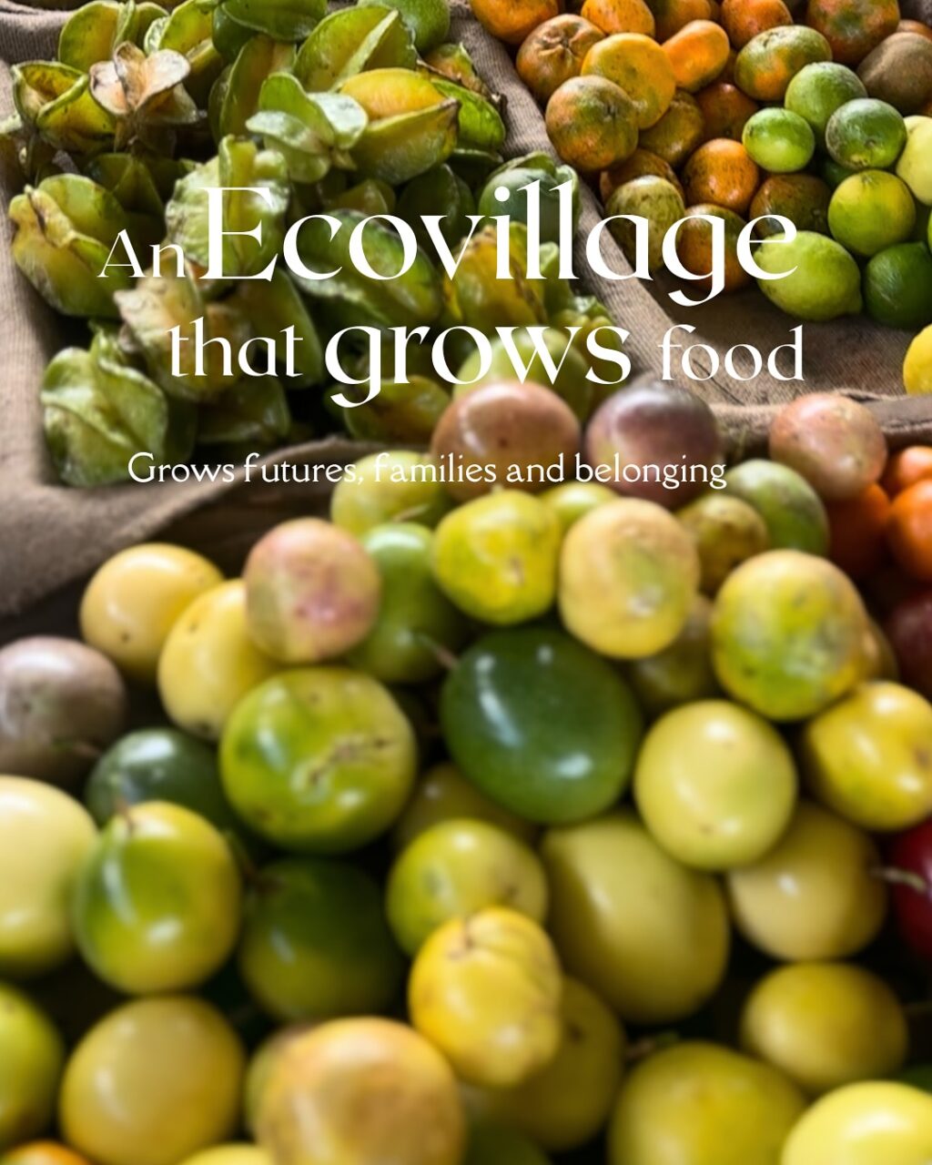 Instagram post from amoracommunity. This post is in position 4.