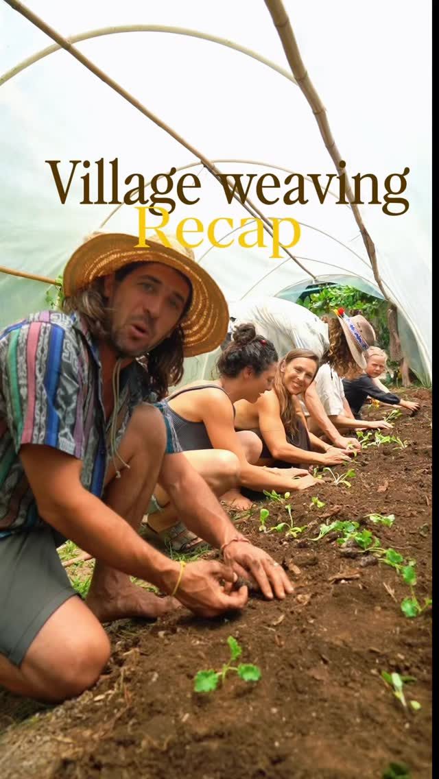 Instagram post from amoracommunity. This post is in position 2.