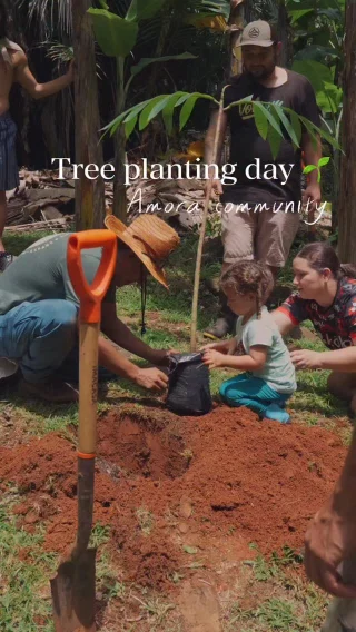 Instagram post from amoracommunity. This post is in position 7.