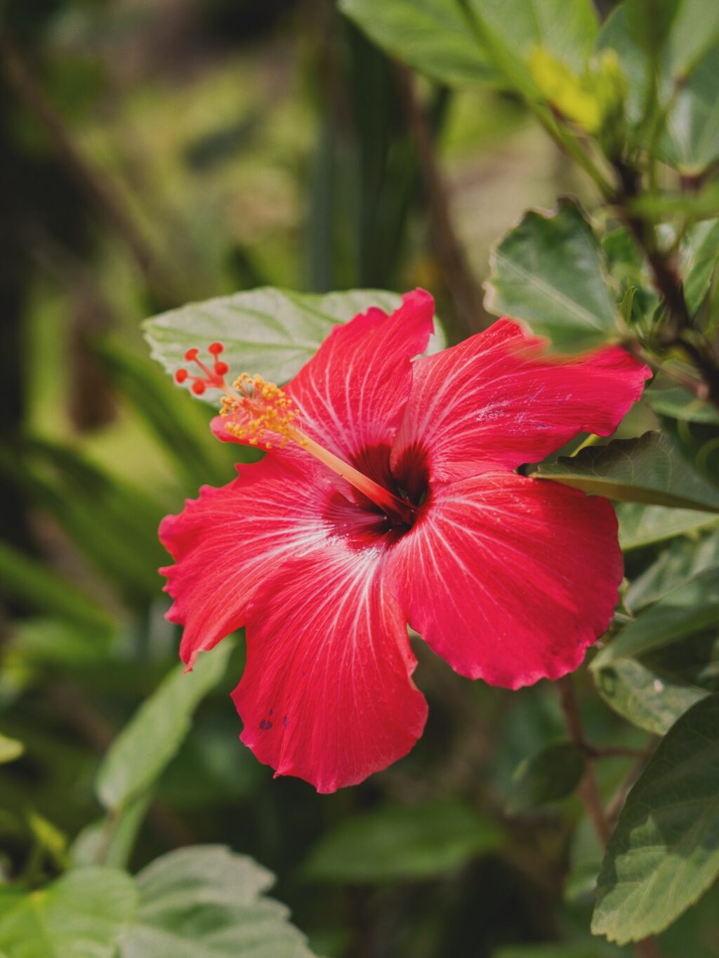 Instagram post from amoracommunity. This post is in position 16.