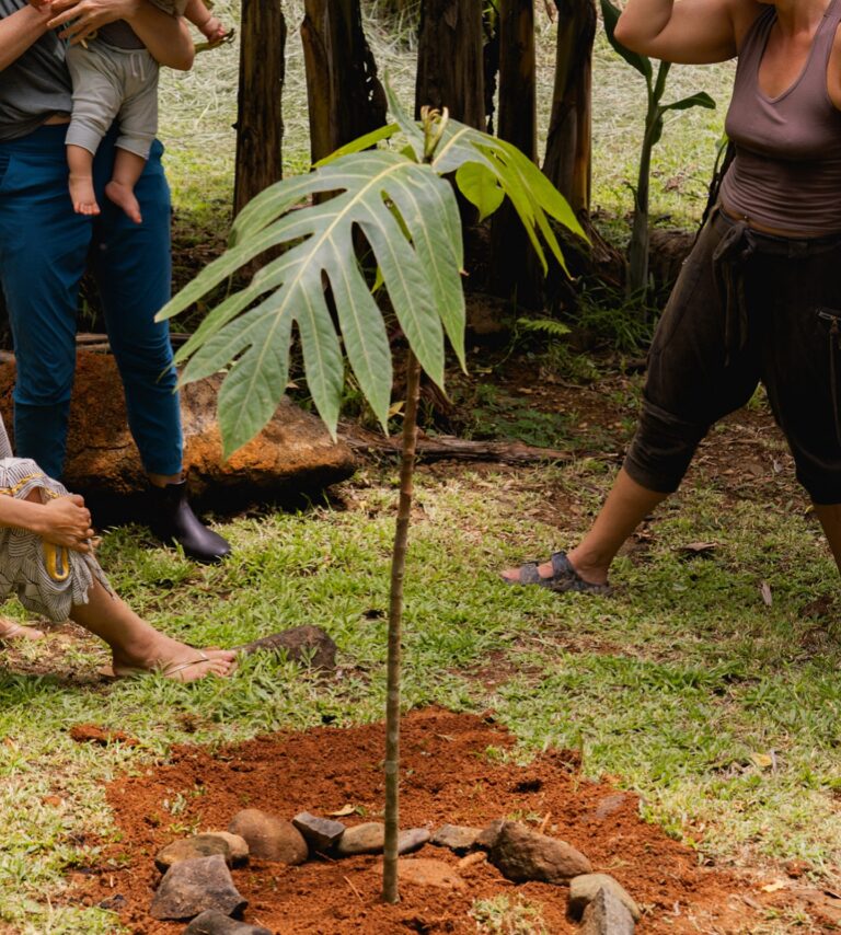 Instagram post from amoracommunity. This post is in position 15.