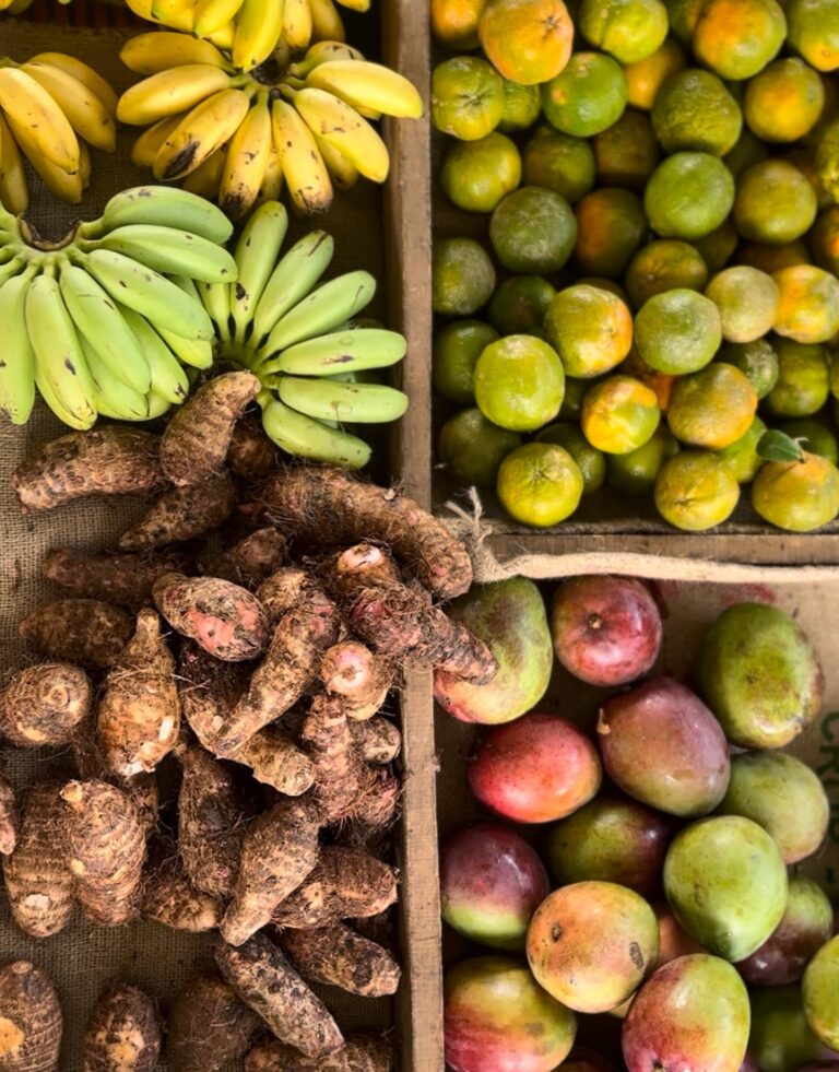 Instagram post from amoracommunity. This post is in position 13.