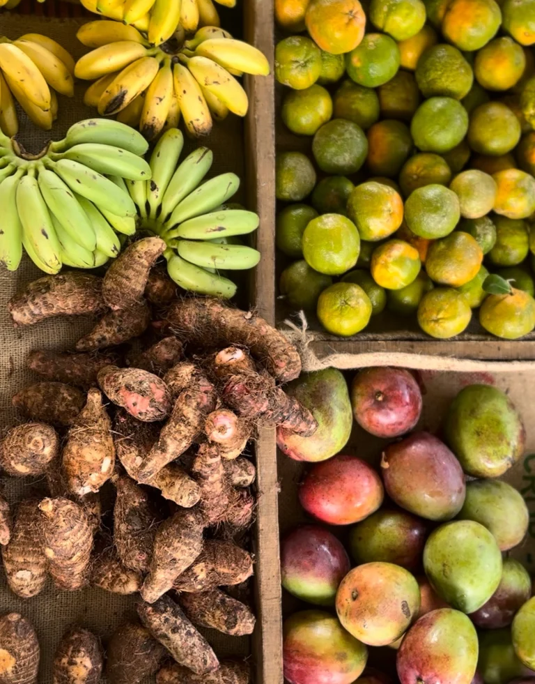 Instagram post from amoracommunity. This post is in position 17.