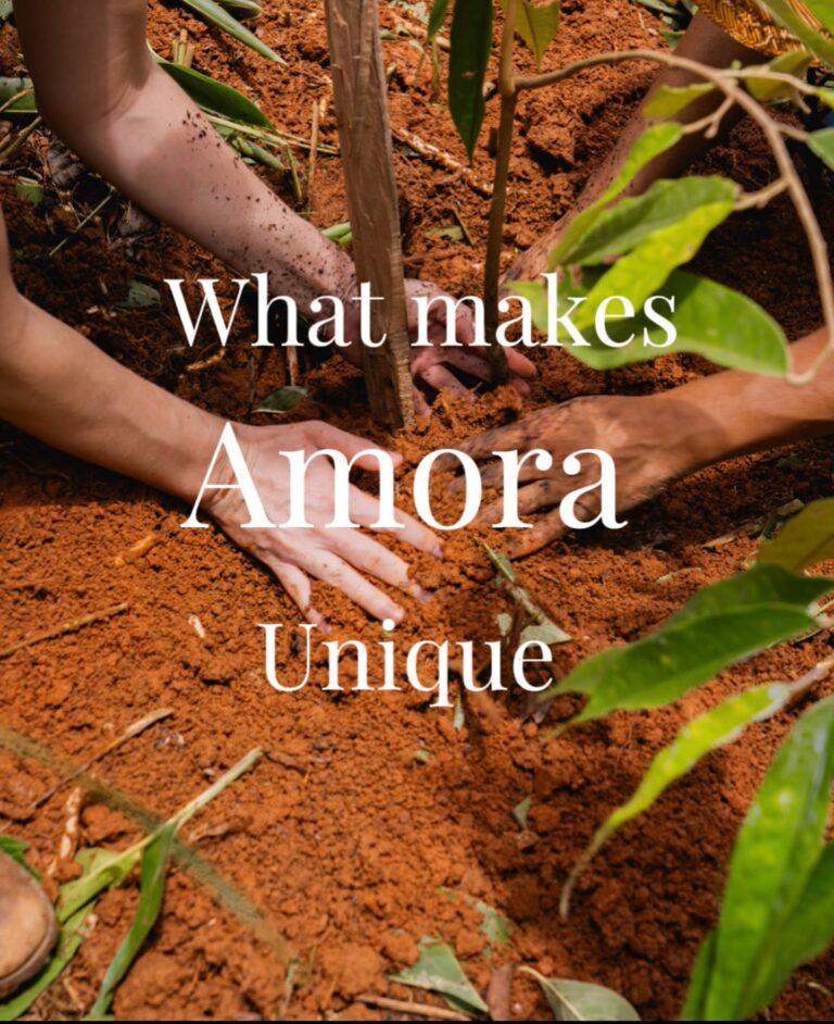 Instagram post from amoracommunity. This post is in position 19.