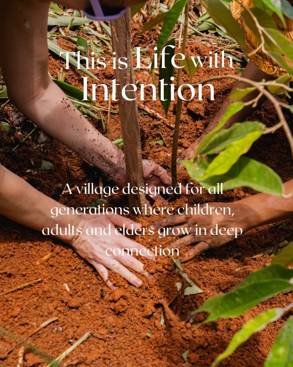 Instagram post from amoracommunity. This post is in position 1.