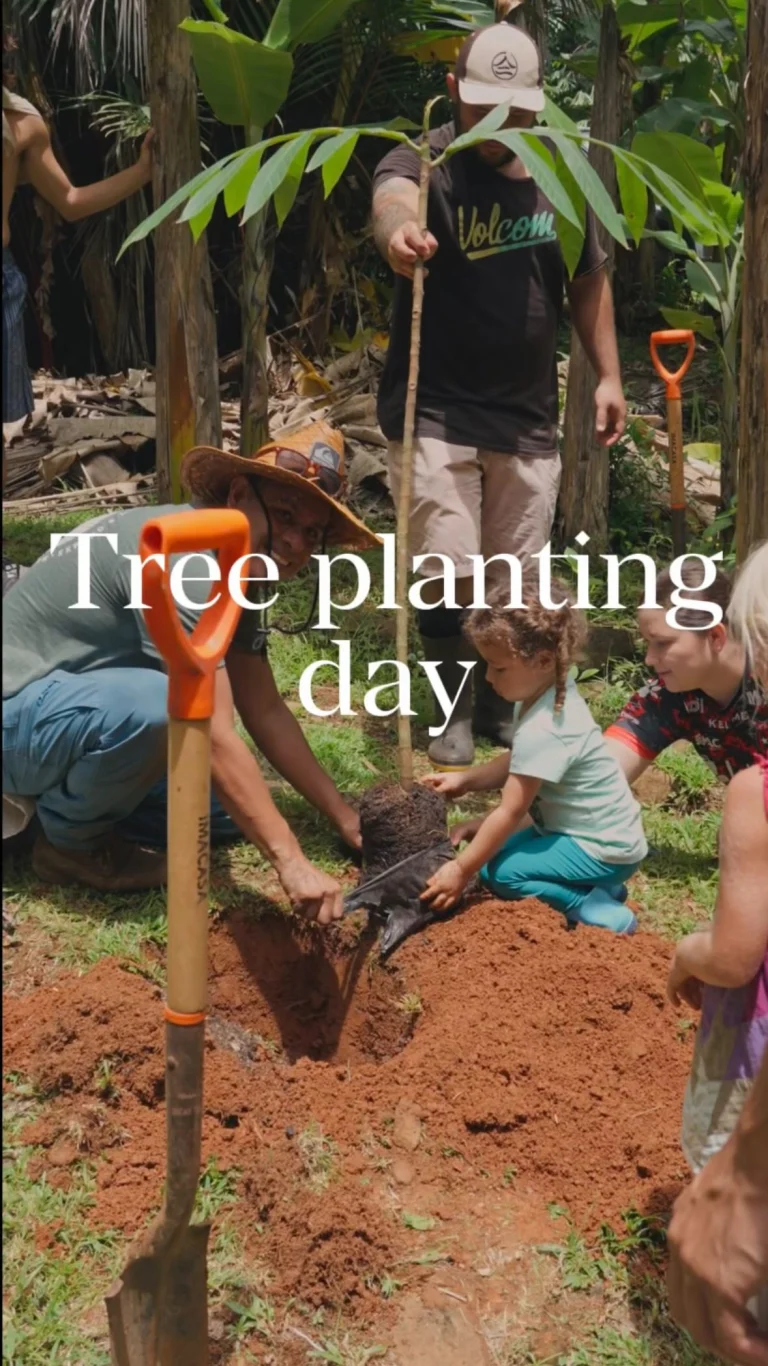 Instagram post from amoracommunity. This post is in position 15.