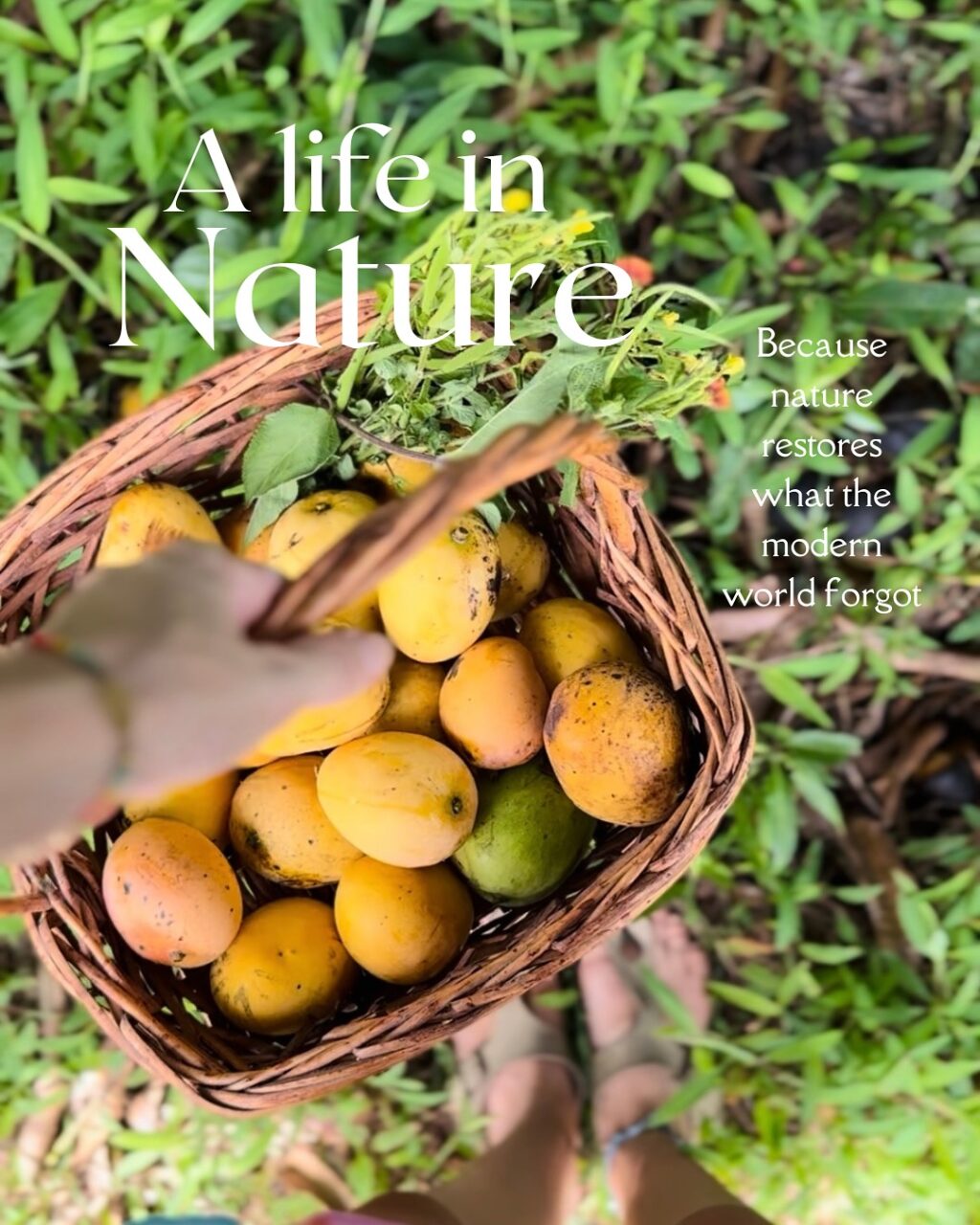 Instagram post from amoracommunity. This post is in position 7.