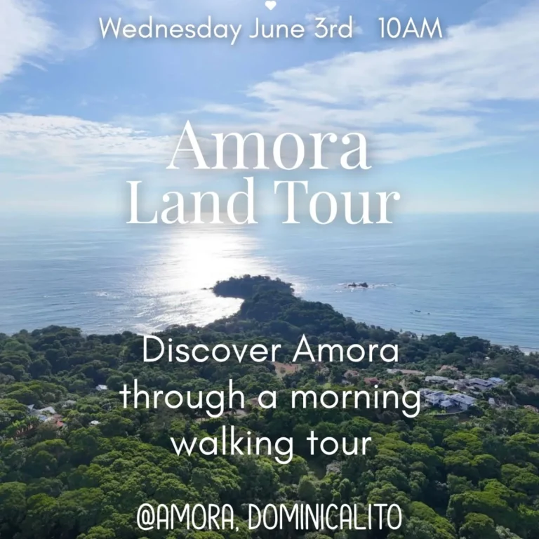 Instagram post from amoracommunity. This post is in position 3.