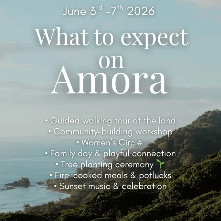Instagram post from amoracommunity. This post is in position 2.