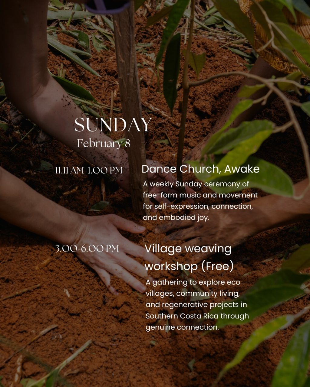 Instagram post from amoracommunity. This post is in position 3.